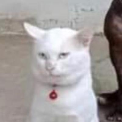 可怕的第四十一天怕鬼ㄉ我不敢睡覺