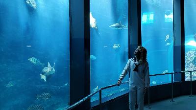 #46：カリブのAQUARIUM PICKS🪼  Winter ver