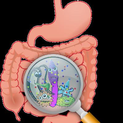 Episode 83: Winter ohne Ama - dank Ayurveda Episode 83: Winter ohne Ama - dank Ayurveda