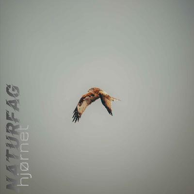 #23 Utnyttelse av naturressurser