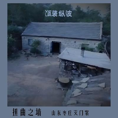12.扭曲之墙：山东枣庄灭门案