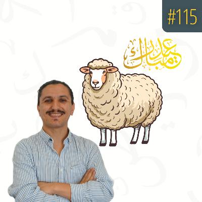 ¿Qué es el Eid? ¿Eid mubarak? Así puedes felicitarlo en Árabe #115