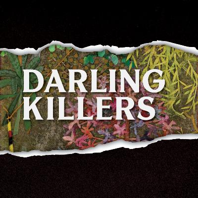 Darling Killers #01 - Finn Godwin