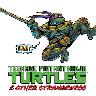 TMNT & Other Strangeness Interview