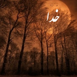 قدر نعمتها