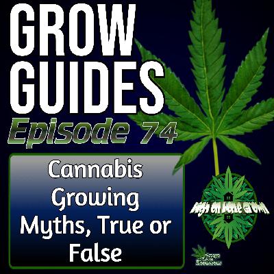 Common Cannabis Growing Myths Busted – What Actually Matters and What Really Doesn’t | Grow Guides Ep. 74