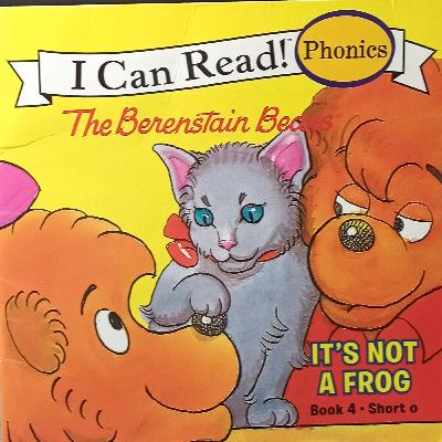 The Berenstain Bears - It's Not a Frog
