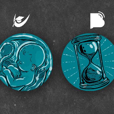 A Encarnação – Comentário Bíblico Vida 011