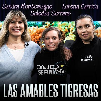 LA MESA DE MAESTRAS 4: "LAS AMABLES TIGRESAS"