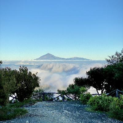 Seite 81 - Fernweh nach La Gomera