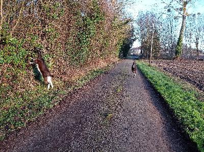 3 perspectives originales sur la chasse