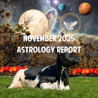 November 2025 Astrology Report November 2025 Astrology Report