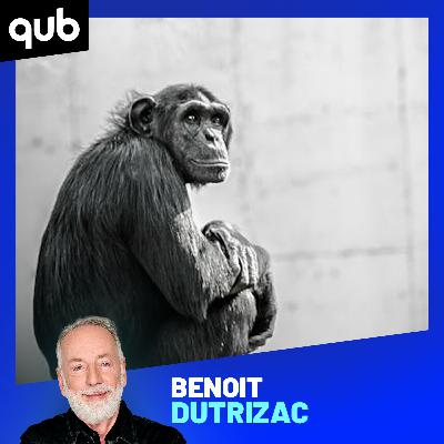 Jane Goodall a «redéfini l’humanité», dit la directrice des programmes à l’institut Jane Goodall du Canada