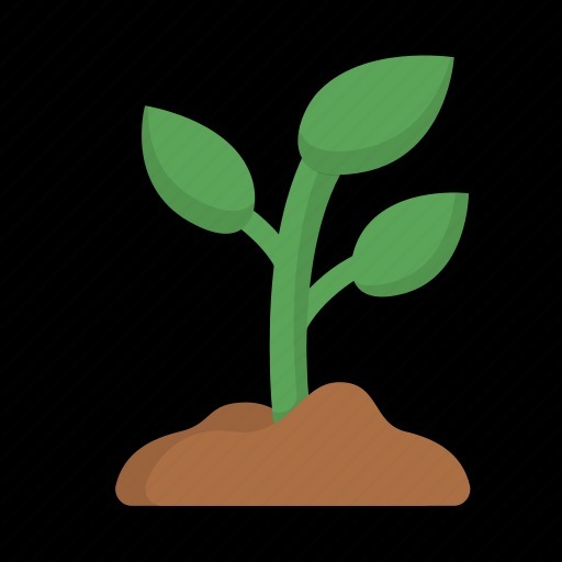 استارتاپ ۱: ایده، شروع و ارزیابی