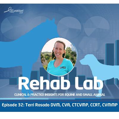 Episode 32: Dr. Terri Rosado DVM, CVA, CTCVMP, CCRT, CVMMP