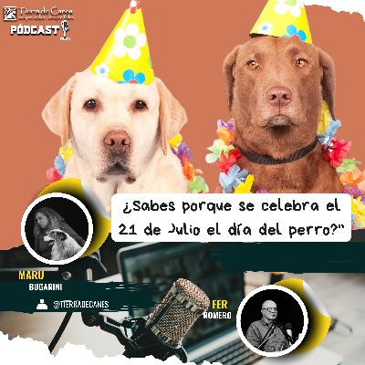 "¿Sabes por qué se celebra el 21 de julio el Día del Perro?" 🐶🎉