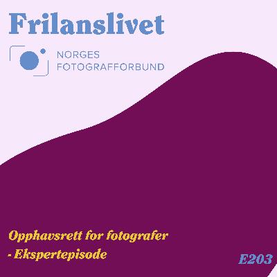 Opphavsrett for fotografer - Ekspertepisode (gratis)