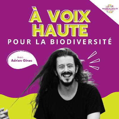 Adrien Gines : “Il est l’heure de s’assumer en tant qu’artiste”