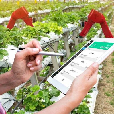 Tin trong nước - Ngành nông nghiệp Hà Nội: Đẩy mạnh chuyển đổi số góp phần giảm nghèo bền vững Tin trong nước - Ngành nông nghiệp Hà Nội: Đẩy mạnh chuyển đổi số góp phần giảm nghèo bền vững