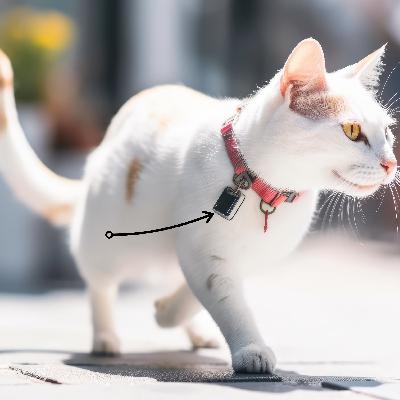 Cat Tracking Device inventor Henry Hudson and his Kitty Rudy. Cat Tracking Device inventor Henry Hudson and his Kitty Rudy.