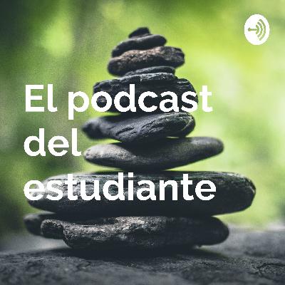 La píramide del estudiante - ¿Cómo nos organizamos los estudiantes?