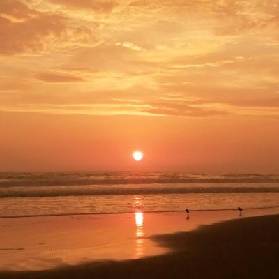 Bienvenidos a Almakaraka Bienvenidos a Almakaraka