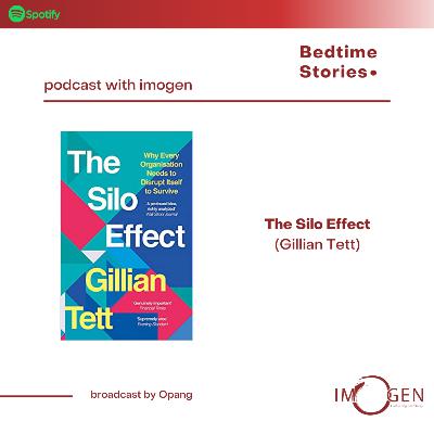 Bed Time Stories #4 The Silo Effect - Gillian Tett