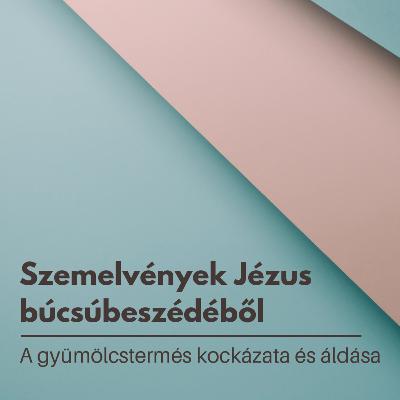 Szemelvények Jézus búcsúbeszédéből: A gyümöécstermés kockázata és áldása - János 15:1-8 Szemelvények Jézus búcsúbeszédéből: A gyümöécstermés kockázata és áldása - János 15:1-8