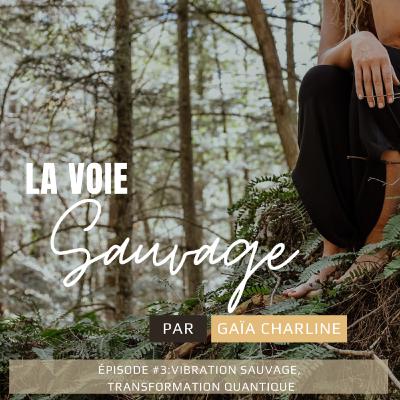 #3 Vibration sauvage, transformation quantique #3 Vibration sauvage, transformation quantique