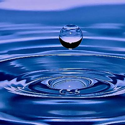 H20