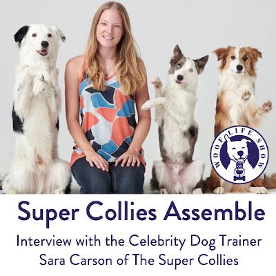Interview with the Celebrity Dog Trainer Sara Carson of The Super Collies
