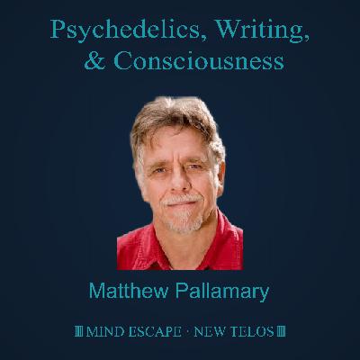 Matthew Pallamary: Psychedelics, Writing, and Consciousness Episode #334