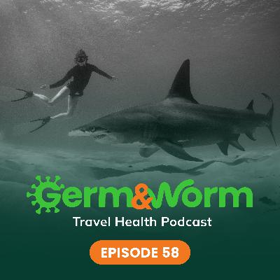 58: Sharks--Don't Provoke Them!
