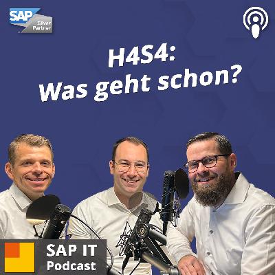 H4S4-Migration: Diese Fragen stellen sich SAP-HCM-Kunden – mit Alexander Graf und Lukas Habermann H4S4-Migration: Diese Fragen stellen sich SAP-HCM-Kunden – mit Alexander Graf und Lukas Habermann