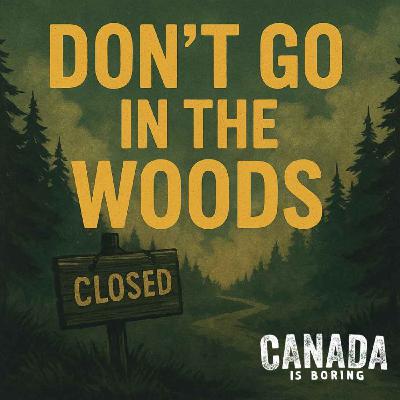 Don’t Go In The Woods Don’t Go In The Woods