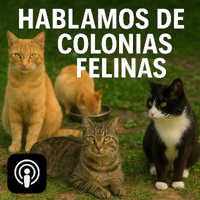 Podcat E16 T3: Hablamos de colonias felinas
