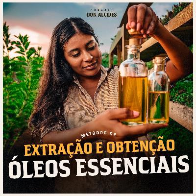 Conheça os métodos de extração e obtenção dos óleos essenciais.