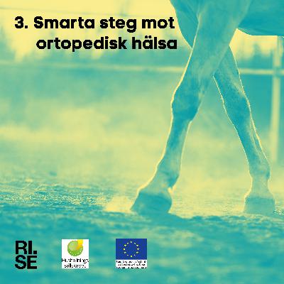 Smarta steg mot ortopedisk hälsa Smarta steg mot ortopedisk hälsa