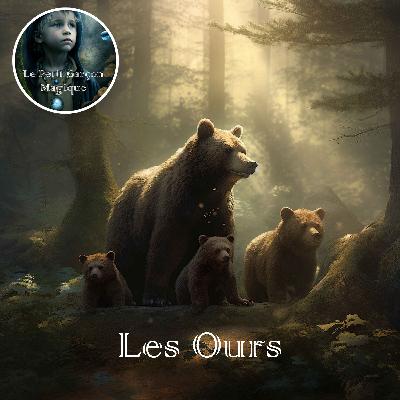 Les ours