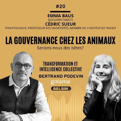 La gouvernance chez les animaux La gouvernance chez les animaux