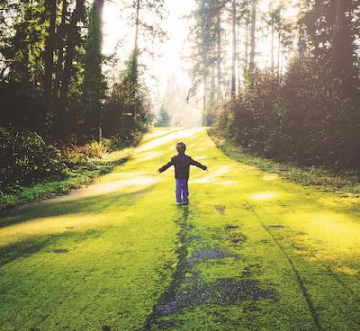 Doğayla İlgili Sözcüklerin Kullanımı Azalıyor