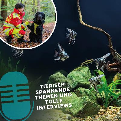 Heimtier Podcast - Schutz & Fürsorge im Alltag Teil 2