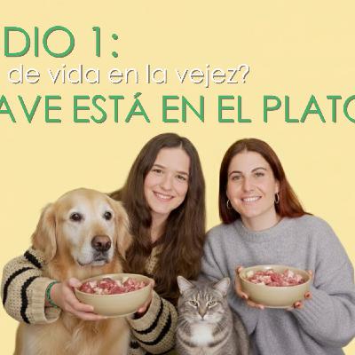 El podcast de Animal Touch - Jessica da Silva El podcast de Animal Touch - Jessica da Silva