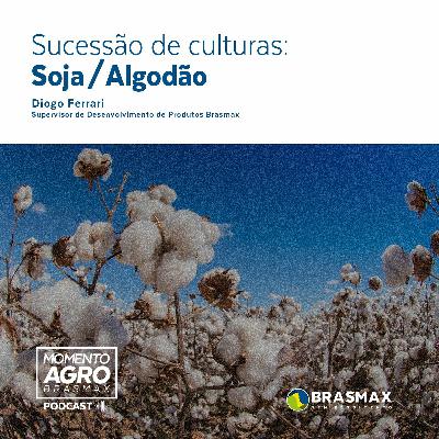 Momento AGRO Brasmax #18- Sucessão de Culturas: Soja/ Algodão