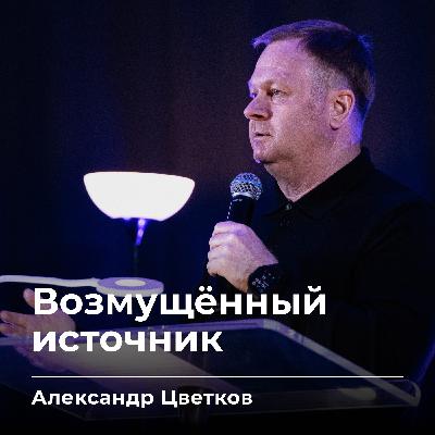 Возмущённый источник | Александр Цветков | 28.11.25
