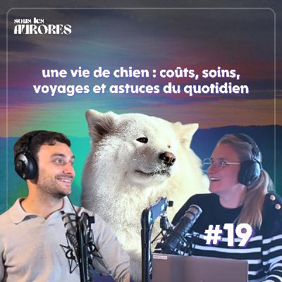 #19 - UNE VIE DE CHIEN EN NORVÈGE : COÛTS, SOINS, VOYAGES ET ASTUCES DU QUOTIDIEN #19 - UNE VIE DE CHIEN EN NORVÈGE : COÛTS, SOINS, VOYAGES ET ASTUCES DU QUOTIDIEN