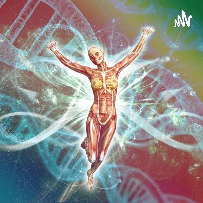 StEx Physiotherapie 2: Aufbau & Besonderheit einer Muskelzelle, Energiegewinnung d. Muskelzelle, Motorische Endplatte und Kontraktionszyklus