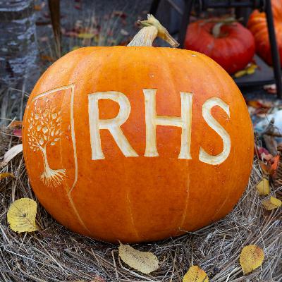 Halloween in the Garden: From Bats to Deadly Blooms Halloween in the Garden: From Bats to Deadly Blooms