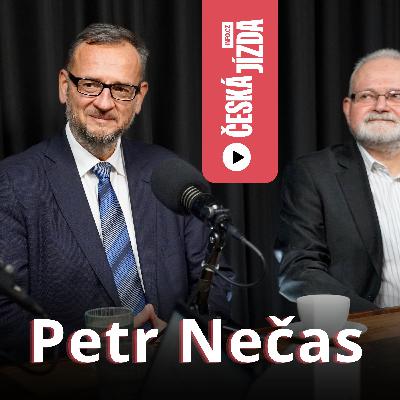 Petr Nečas: Babiš žádné reformy neudělá. ODS musí vsadit na dravé třicátníky