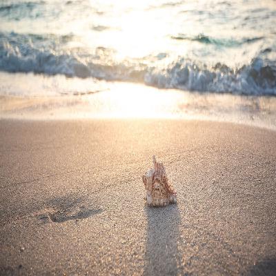 Season 1, Episode 2:  Summer Nostalgia:   Baby Boomer Vacation Memories